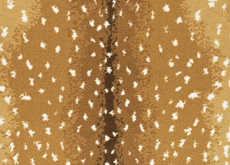 /Broadloom/CS Fine/cb79_0002_bl_xl.jpeg