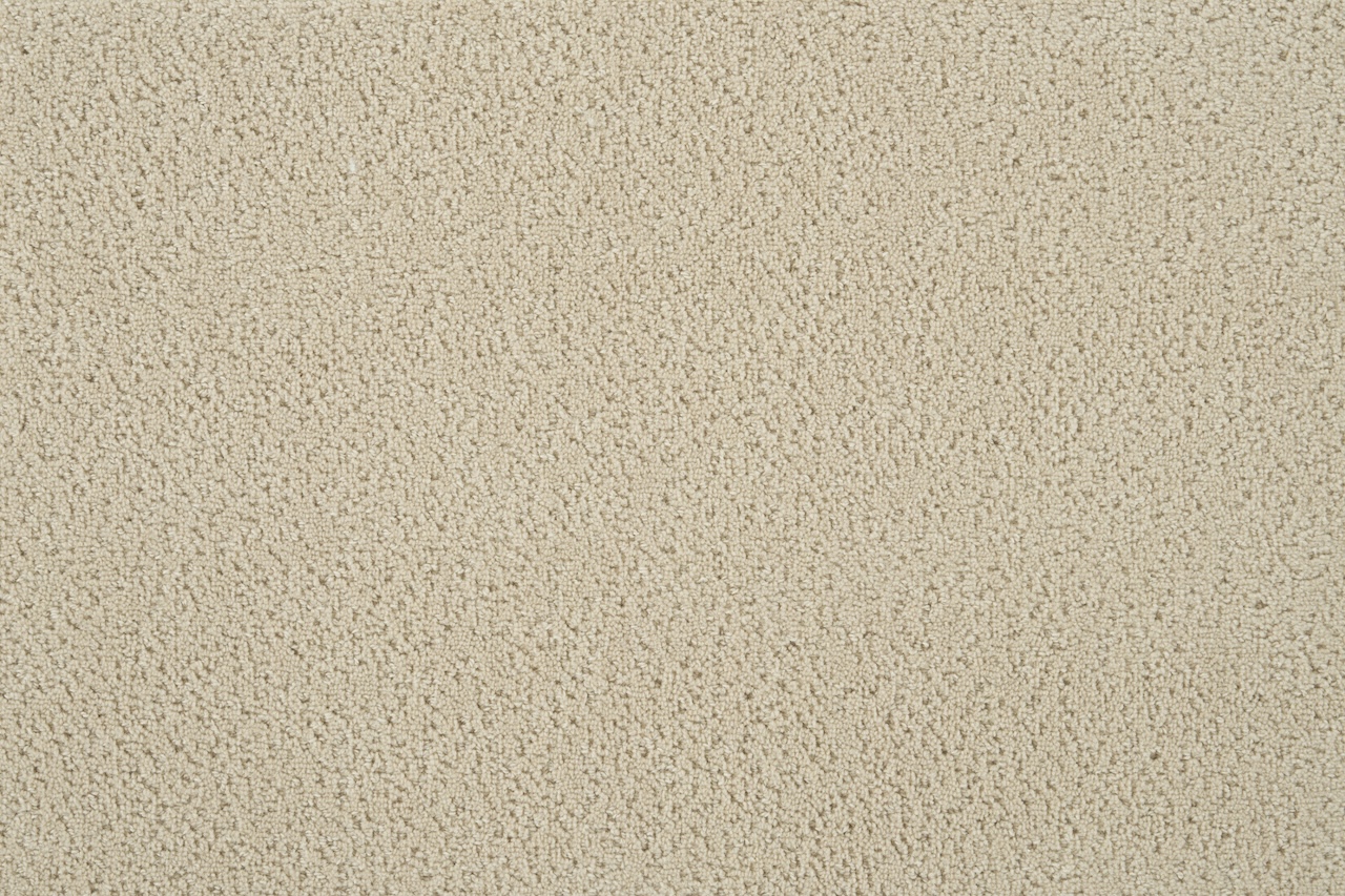 /Broadloom/Classic Refresh/HAGAMAN_CLASSIQUE_CLASQ_SOIREE_SOIR_ALMOND_H0201_SAMPLE_C.jpg