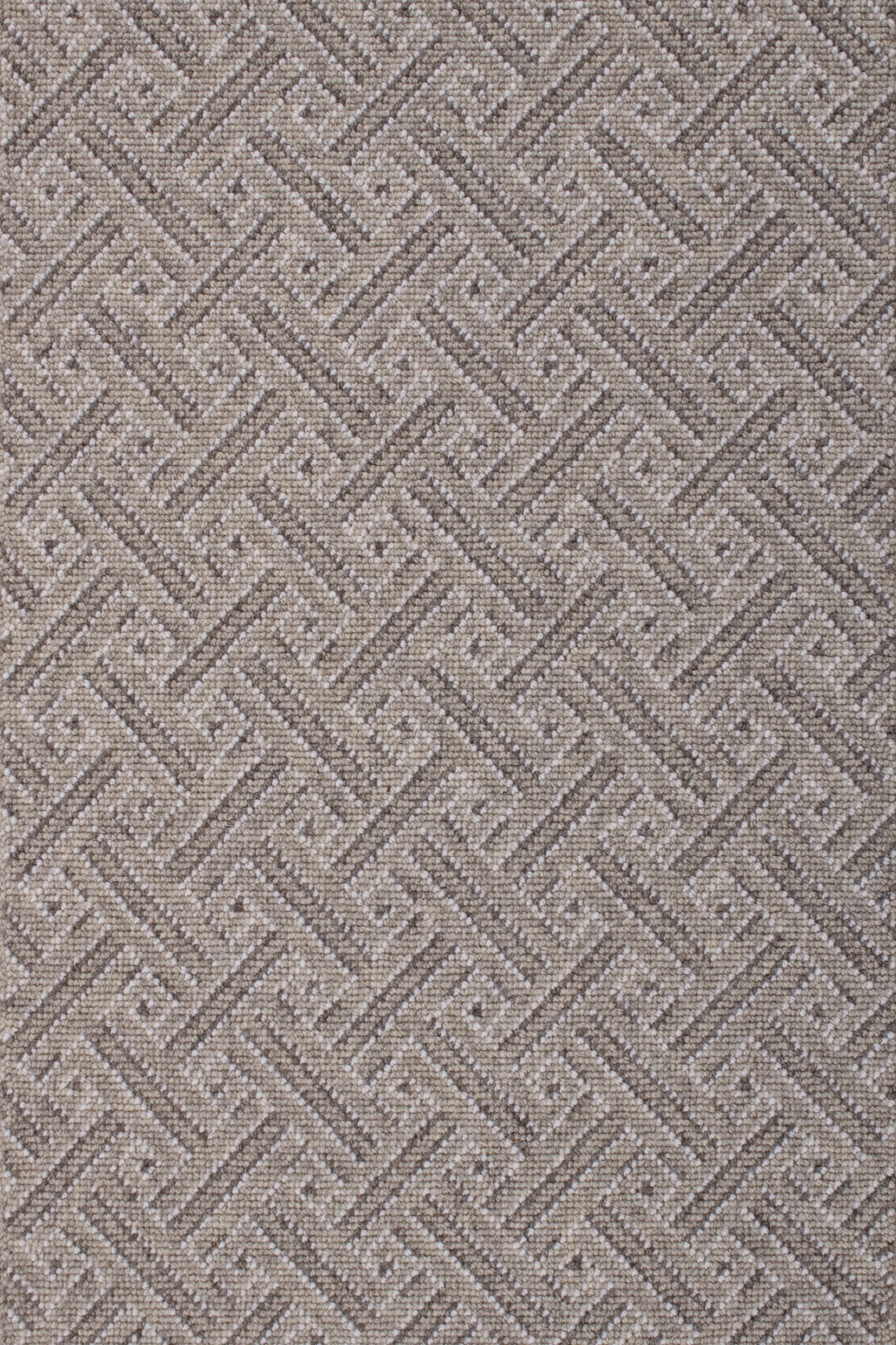 /Broadloom/Cutting Edge/FrenchGrey_Geo.jpg