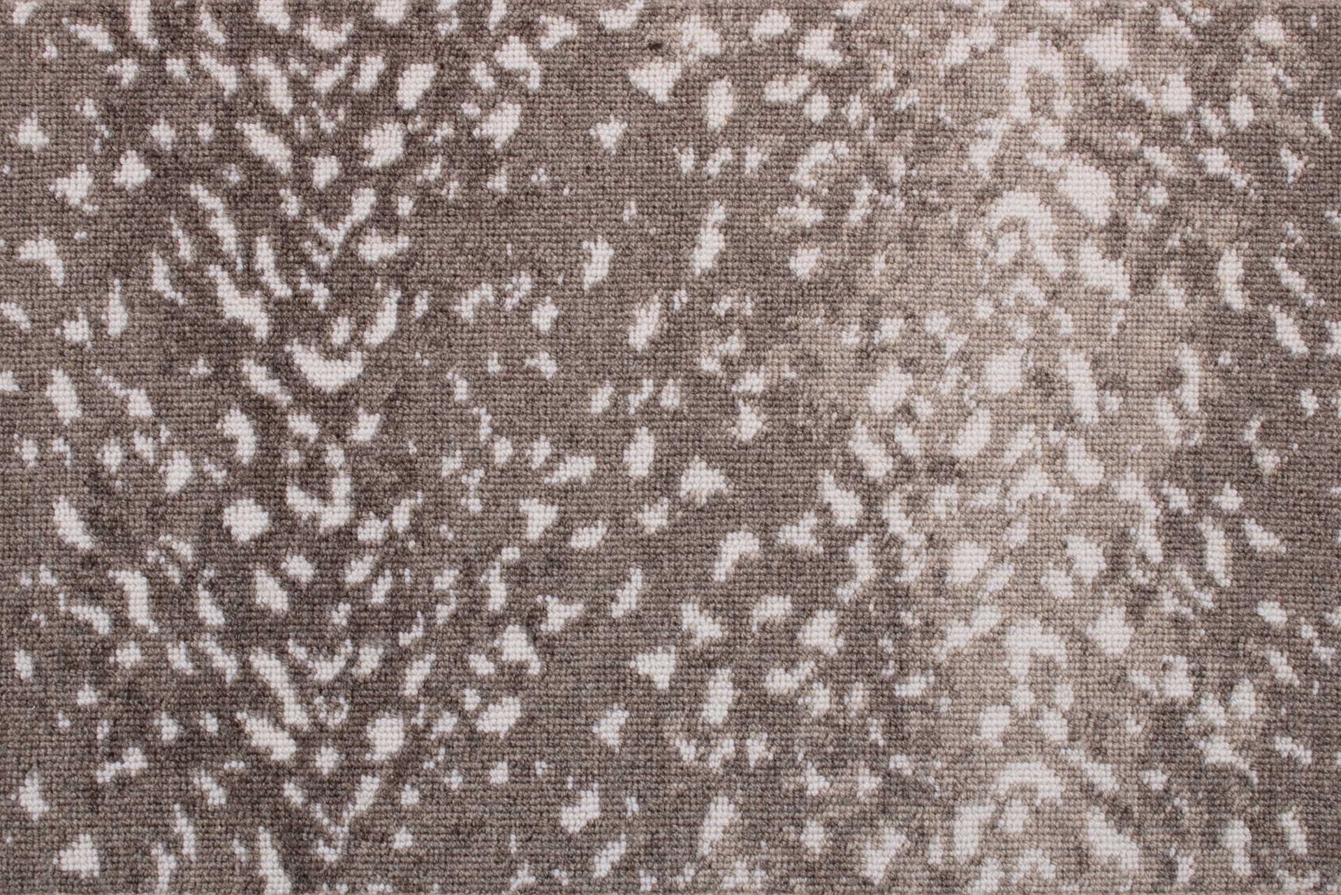 /Broadloom/Cutting Edge/FrenchGrey_Leopard_edited.jpg