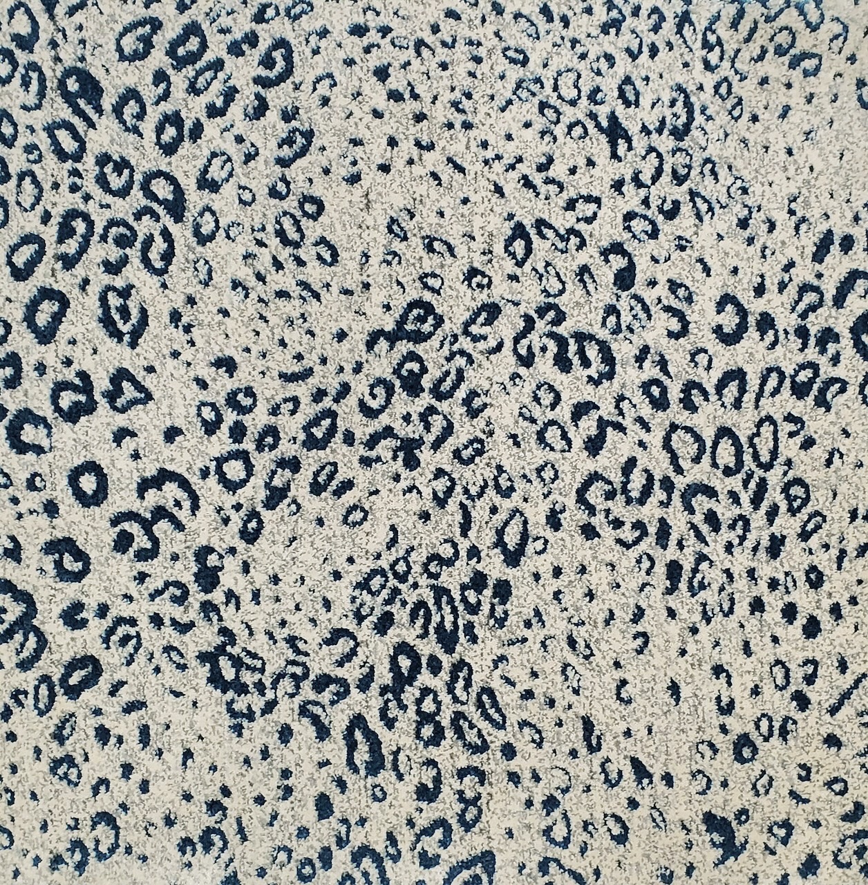 /Broadloom/Modern/Enrich - 360 Enhance photo.jpg